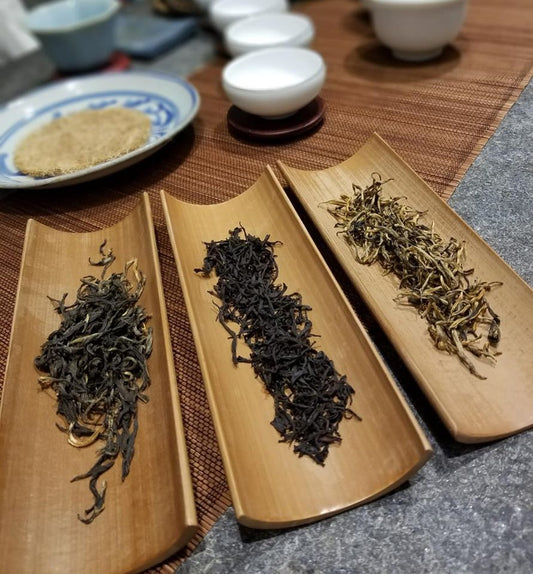 茶藝課程│入門體驗班