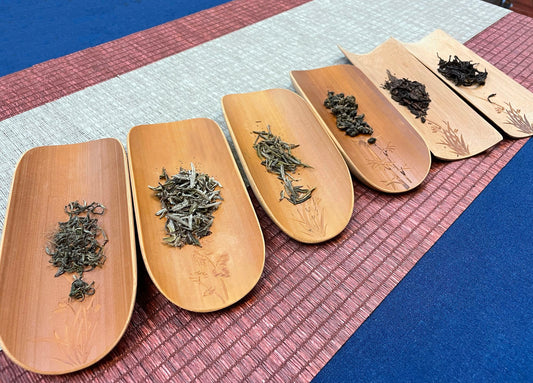成人茶藝班│初級茶藝課程